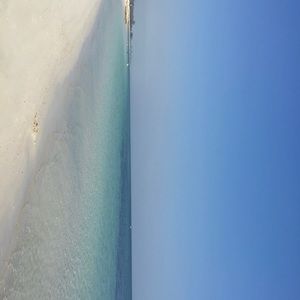 Meet your Posher, Raylee